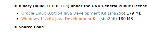 jdk11버전다운